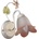 ONLI OL0011
