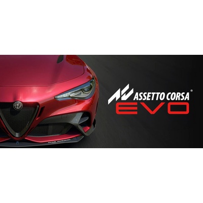 Assetto Corsa Evo
