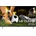 LG OLED55B6ELC