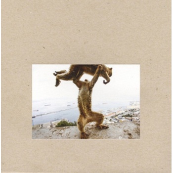 Dude Incredible Shellac LP