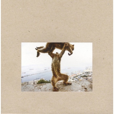 Dude Incredible Shellac LP
