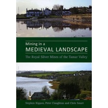 Mining in a Medieval Landscape