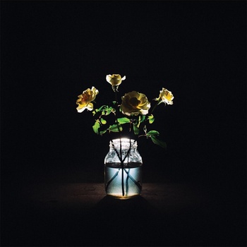 Billy Strings - Renewal (180g) (2 LP) (888072282940)