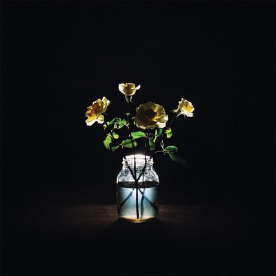 Billy Strings - Renewal (180g) (2 LP) (888072282940)