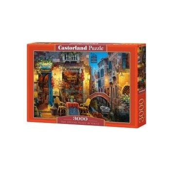 Castorland Puzzle 3000 pcs. Our Special Place in Venice