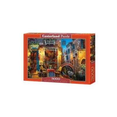 Castorland Puzzle 3000 pcs. Our Special Place in Venice