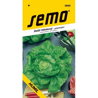 SEMO Salát hlávkový Humil