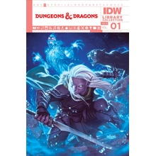 DUNGEONS & DRAGONS LIBRARY COLL V01