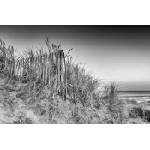 DIMEX ART Флизелинов фототапет зашеметяващ изгрев 375 x 250 см