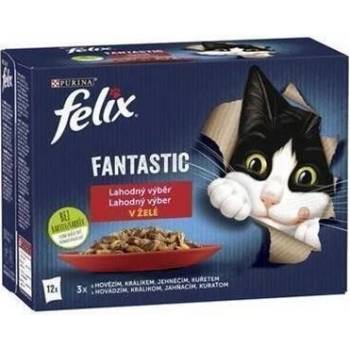 FELIX Fantastic cat hovädzie hydina zelená fazulka & jahňa kura rajčiny & morka kačka v želé 12 x 85 g