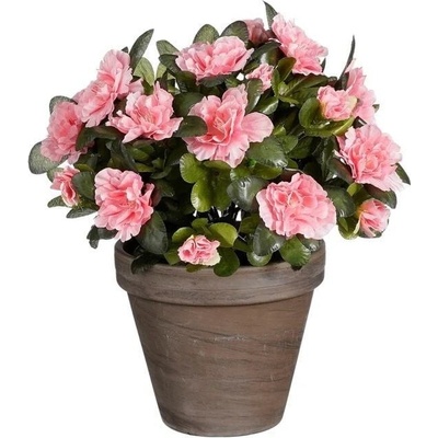 Umělá rostlina Azalka, 27 cm, broskvová 1139012