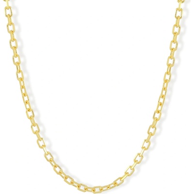 Lillian Vassago Celozlatý řetízek typu anker LLV59-GCH018Y