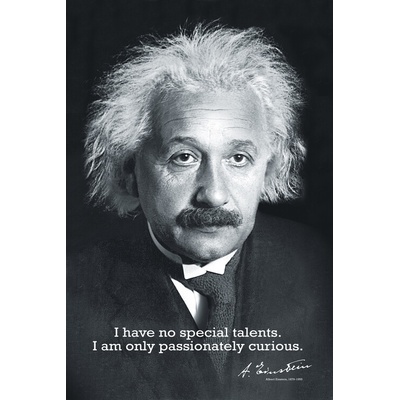Plagát, Obraz - Einstein Curiosity, 61 × 91.5 cm