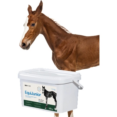 Lab-v EquiJunior Допълнителна фуражна смес за жребчета, подпомагаща растежа, развитието и правилното хранене на млади коне и понита 2000 г