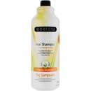 Morfóza trvalka šampón na vlasy bez soli 1000 ml