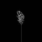 Wetware - Flail (Limited Edition) (Clear Coloured) (LP) (0011586670310)