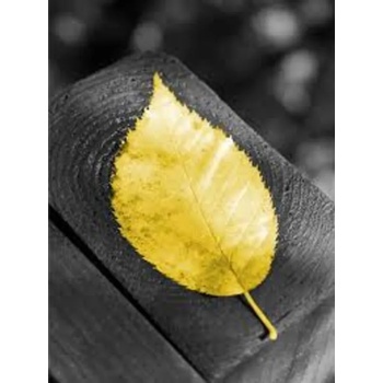 Image 1 of Златен лист 30/40 см