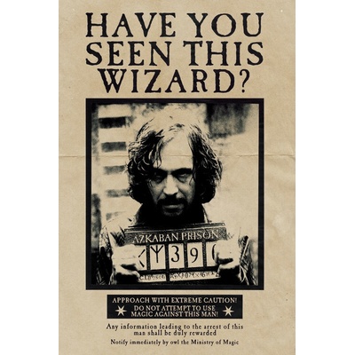Plagát, Obraz - Harry Potter - Wanted Sirius Black, 26.7 × 40 cm