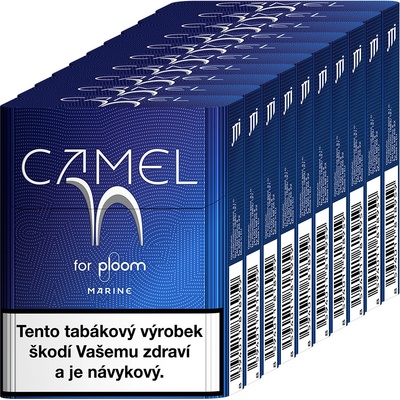 Camel Marine karton – Zbozi.Blesk.cz