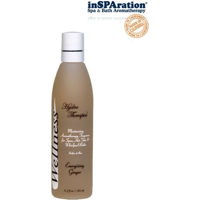 Hanscraft Wellness Energizujúci zázvor 245ml