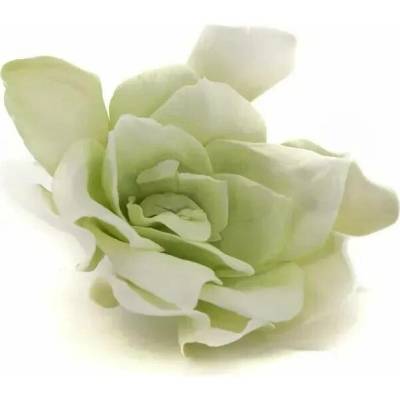 Stabilizované květiny Gardenia – bílo-zelená