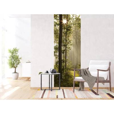 AG design FTNVL-3712 vliesová fototapeta Morning Forest rozměry 90 x 270 cm