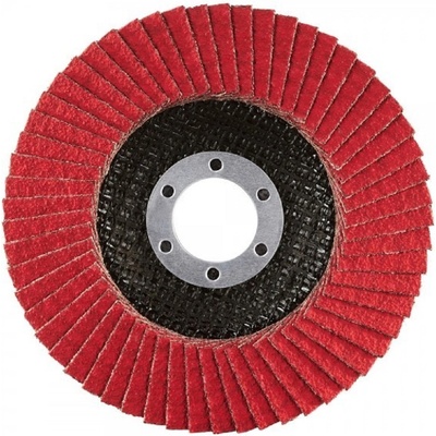 Rhodius Kotouč lamelový brusný 125 mm 40 208746
