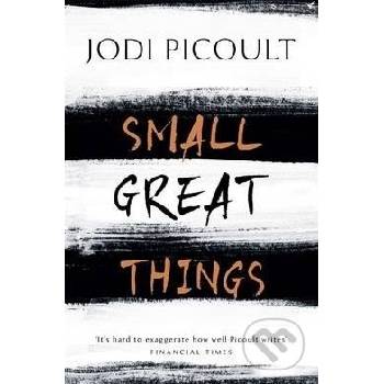 Small Great Things - Jodi Picoult