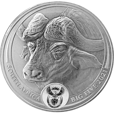 Rand Refinery Strieborná minca Buvol Big Five I 2021 1 oz