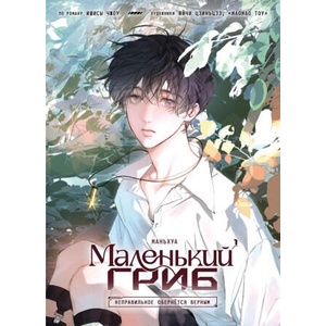 Маленький гриб том 1 | Чжоу Ишисы (ISBN: 9785605198482)