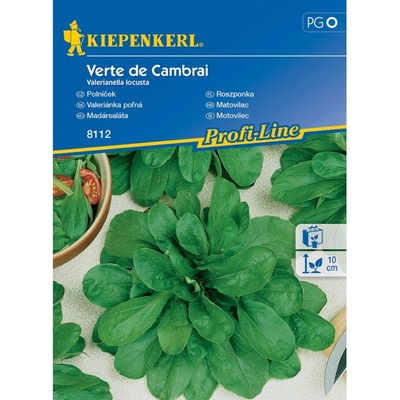 Kiepenkerl Polníček Verte de Cambrai