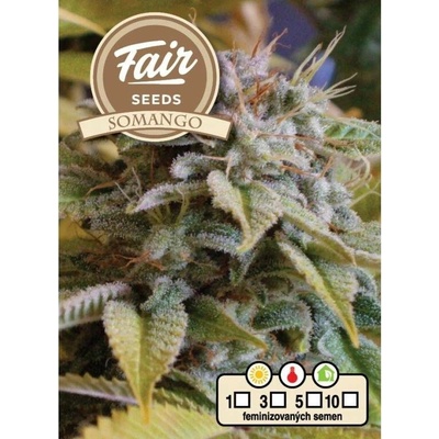 Fair Seeds Somango semena neobsahují THC 10 ks