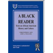 A Black Reader Texts on African American History