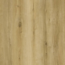 Republic Grizzly G007 Lost 2,22 m²