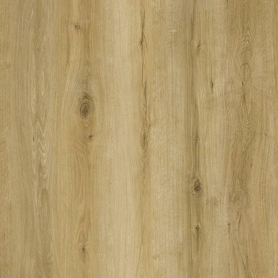 Republic Grizzly G007 Lost 2,22 m²