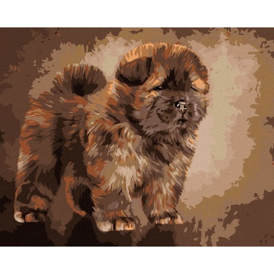 zuty Malování Podle Čísel Štěnátko Chow Chow 80 x 100 Cm Plátno