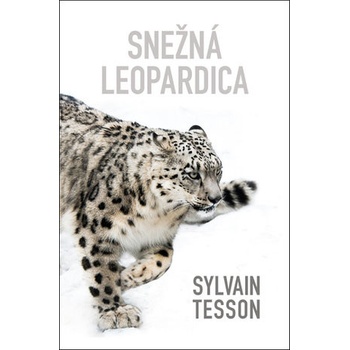 Snežná leopardica