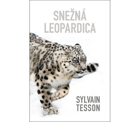 Snežná leopardica