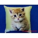 Dadka vankúš Mačiatko na zelenom 40x40