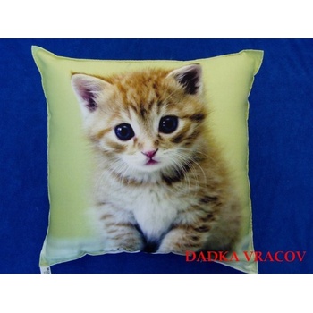 Dadka vankúš Mačiatko na zelenom 40x40