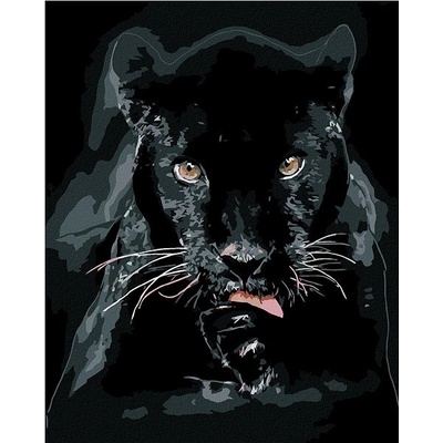 Zuty Malování podle čísel Černá puma 80 x 100 cm vypnuté plátno na rám