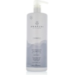 Paul Mitchell Awapuhi Wild Ginger Hydrate Hydrasoft Shampoo 1000 ml - parfimo