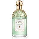 Guerlain Aqua Allegoria Rosa Verde EDT 125 ml
