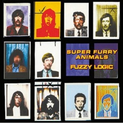 Fuzzy Logic Super Furry Animals LP