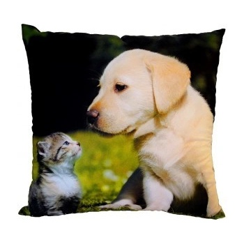 Dadka Foto vankúš Kotě a štěně na trávě 40x40