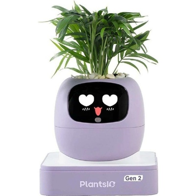 Plantsio Ivy 2 gen. fialový