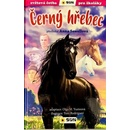 Černý hřebec