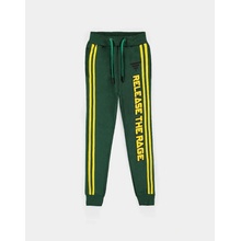 Marvel Avengers Hulk Boys Jogging Pants Multicolor