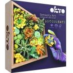 Doktorvolt Creative set Wood&Craft DIY Succulents 21x21cm Energy 10009