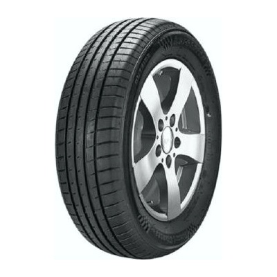 Autogreen Smart Chaser SC1 205/55 R16 91V